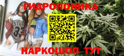 кокс Донской