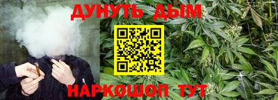 кокс Донской