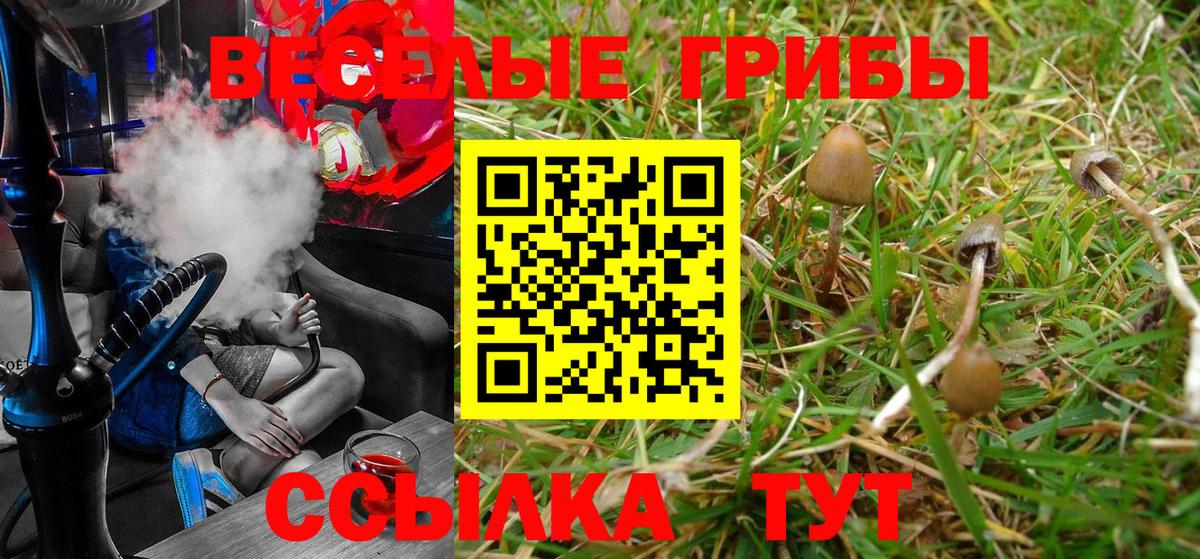 Псилоцибиновые грибы Magic Shrooms Назрань