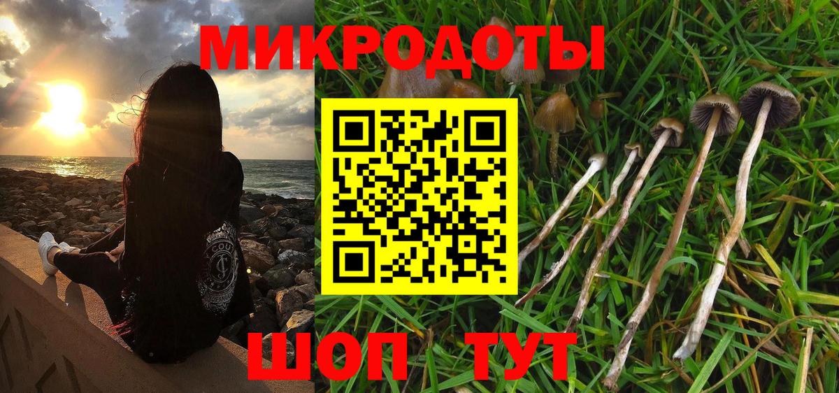 Назрань  Псилоцибиновые грибы Magic Shrooms  Вход с VPN 